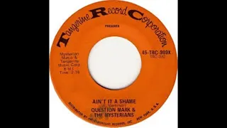 Aint It A Shame - ? And The Mysterians