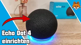 Amazon Echo Dot 4 einrichten - schnelle Anleitung 📲