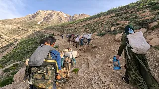 Incredible Iranian Nomadic Migration: Journeying to the Mountain Summit in 2023 (PART 2)