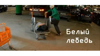 #2 |Trash| Белый лебедь