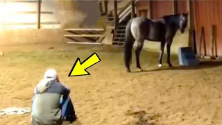 Девушка решила проверить реакцию лошади на плач, эффект превзошёл все ожидания! Это надо видеть!