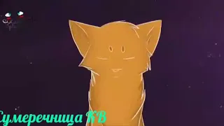 Коты воители /Клип/ Не ангел У МЕНЯ ДЕНЬ РОЖДЕНИЯ🥳🥳