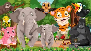 Happy Animal Moment, Familiar Animals Sounds: Elephant, Tiger, Monkey, Bird, Hippo - Animal Paradise