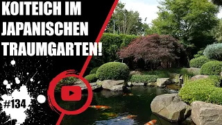 Koiteichblog [134] ★ Koiteich im japanischen Traumgarten