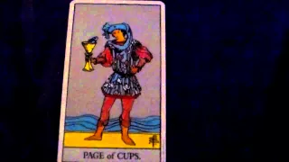 How To Learn What The Page of Cups Tarot Card Means