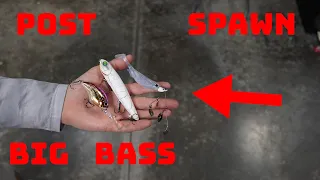 Our Top 5 Favorite Ways To Catch Big Post Spawn Bass!