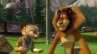 Animaniacs (Madagascar 1234)