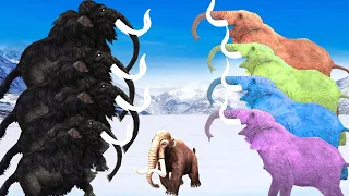 Five Black Mammoths Vs Zombie Elephants Fight on Snow Attack Baby Mammoth Saved by Mammoth Elephant