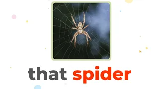 That Spider | Animal names and sounds | Learn English for Kids - Kids vocabulary