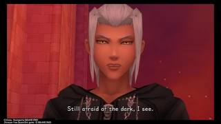 KINGDOM HEARTS HD Dream Drop Distance - La Cité des Cloches(Riku) -End-