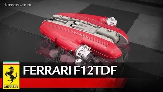 Ferrari F12tdf - Focus on powertrain