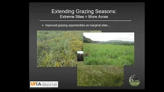 Native Warm Season Grasses for Forage Production