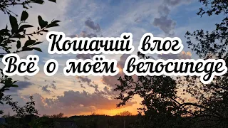 Кошачий влог🐈‍⬛ Всё о моем велосипеде 🚴