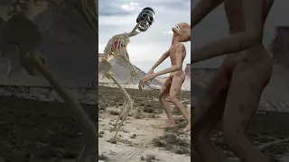 #shorts Army Siren Head Sceleton HEad vs SCP 303 monster