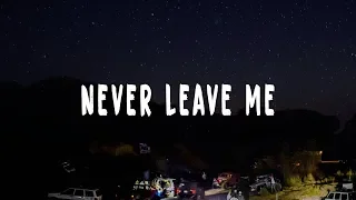 Avicii - Never Leave Me (Lyrics) Ft. Joe Janiak