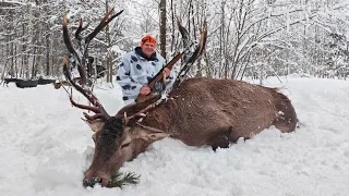 Трудовая охота на Лося и Оленя