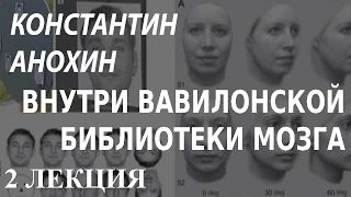 ACADEMIA. Константин Анохин. Внутри Вавилонской библиотеки мозга. 2 лекция. Канал Культура