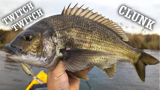 Bream on Hard Body Lures - OSP Dunk