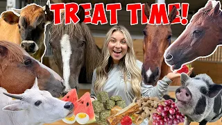 Feeding ALL My Pets FAVORITE TREATS in One Video | 40+ Pets!