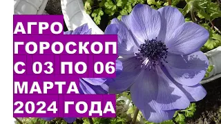 Агрогороскоп с 03 по 06 марта 2024 года Agrohoroscope from March 03 to March 06, 2024