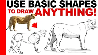 How to Draw ANYTHING In Basic and Dynamic Shapes (Full Lecture + Examples)
