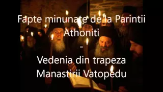 7 Vedenia din trapeza Manastirii Vatopedu - Fapte minunate de la Parintii Athoniti