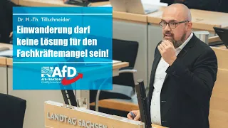 Dr. Hans-Thomas Tillschneider: Einwanderung darf keine Lösung für den Fachkräftemangel sein!