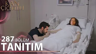 Kan Çiçekleri 287. Bölüm Fragmanı l Dilan Hastaneye Kaldırılıyor