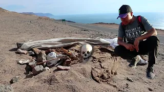 Encontré el CÅDÁVER de un SOLDADO de la Guerra del Pacífico | Chile 🇨🇱