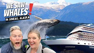 WE SAW WHALES!!  So Many Whales!!  In Juneau, Alaska (Holland America Koningsdam)