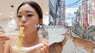 🦌 Life in Japan: dotonburi night market, nara deer park, best food spots 🥢