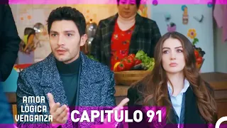 Amor Lógica Venganza Capitulo 91 (Español Doblado)