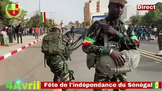 Bataillon parachutiste de choc de l'Armée Sénégalaise 🇸🇳