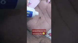 mosquito vs odomos wait for end😂😂😂#subscribe for more#odomos #mosquitokillerlamp