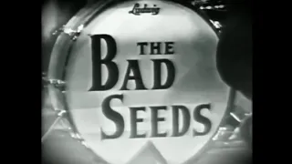 The Bad Seeds - A Taste Of The Same (Subtitulado) 1965