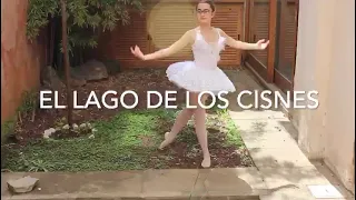 Historia del lago de los cisnes