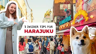 What locals do in HARAJUKU: Tokyo from an insider's perspective! l Dog café, Izakaya, and cosmetics