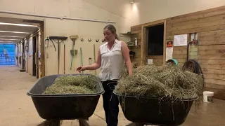 Learn the Difference Between Grass & Alfalfa Hay