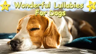 Dog Music Relaxing Sleep Music For Beagle Dogs Puppies ♫ Calm Relax Your Pet ♥ Lullaby For Animals