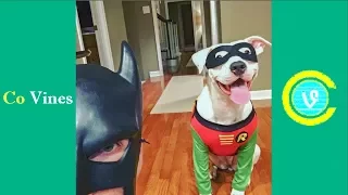 Try Not To Laugh Watching BatDad Compilation 2017 (W/Titles) Funny BatDad Videos