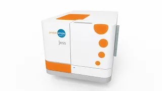 Jess: Your Complete Protein Analysis Solution For Automated Western Blots