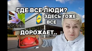 LIDL- ЧТО Я КУПИЛА? /СКОРО БУДЕМ СОБИРАТЬ УРОЖАЙ на НАШЕМ ОГОРОДЕ/ВЛОГ с ИСПАНИИ