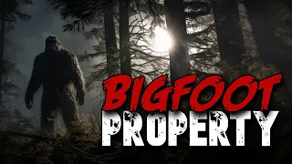 383: A Trucker's Bigfoot Property | The Confessionals