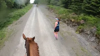 Man v Horse 2022, the horse view start to finish