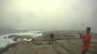 Peggys Cove Idiot