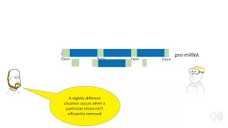 Intron retention and alternative splicing ...