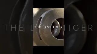 The Last Tiger (Edit) #history #germany #tiger #ww2 #fypシ #foryou #shorts #fyp