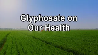 Unveiling the True Impact of Glyphosate on Our Health and Environment