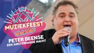 Peter Beense - Een Amsterdamse nacht | Muziekfeest op het Plein 2013