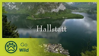 Hallstatt - Living Between Rock and Lake - Go Wild